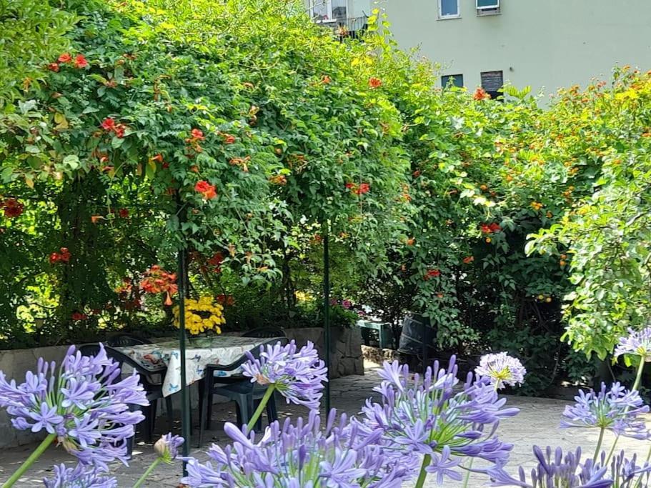 Casa Al Mare Con Parcheggio * Génova
